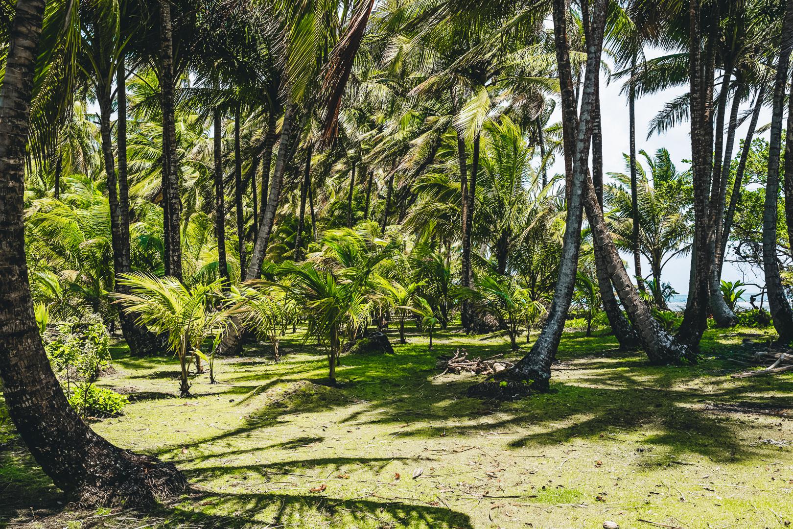 imagen de Refugio de Vida Silvestre Cayos Perlas